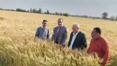 زراعة الشرقية تكثف ندواتها لدعم المزارعين وتحسين الإنتاج الزراعي