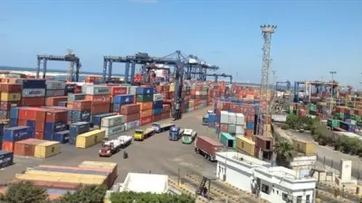 برلماني: الاستثمارات الصينية تفتح آفاقًا جديدة للتصدير في مصر