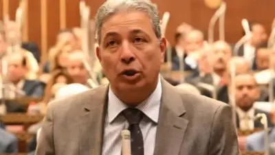 عضو مجلس الشيوخ: قانون الأسرة يجب أن يحمي الطفل أولا