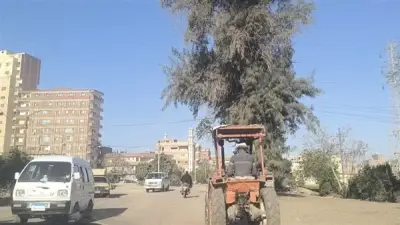 طريق طوخ - شبين: حفر ومطبات تهدد حياة الطلاب والسائقين