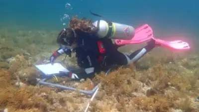 تقرير إسرائيلي: البحر المتوسط يواجه كارثة بيئية بسبب التغير المناخي والتلوث