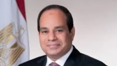 السيسي يستقبل رئيس جامعة هيروشيما لبحث التعاون التعليمي