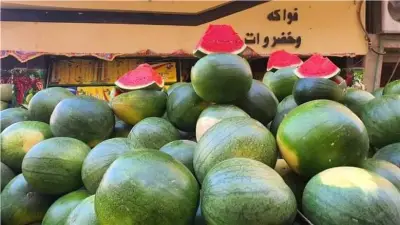 هل طُرح البطيخ قبل أوانه؟.. رئيس مركز معلومات المناخ يحسم الجدل