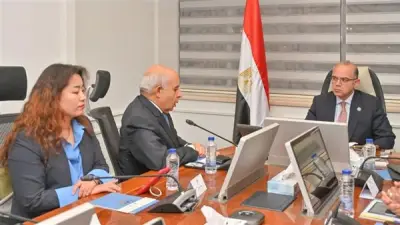 وزير الاستثمار يبحث مع شركة صينية إنشاء مجمع ضخم لإنتاج الإطارات ببرج العرب