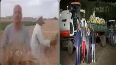 بعد التصالح.. النيابة تواصل التحقيق في سرقة محصول القمح بالشرقية