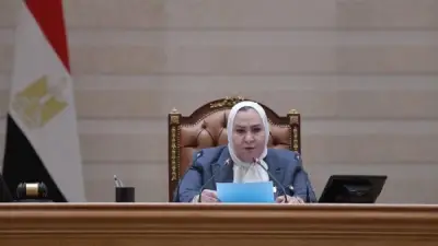 عبلة الهواري: توحيد دعاوى النفقات خطوة إيجابية والتنفيذ السريع هو التحدي