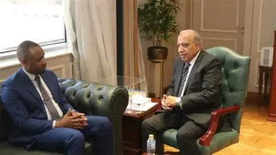 وزير الكهرباء يبحث مع نظيره الرواندي تعزيز التعاون المشترك في الطاقة