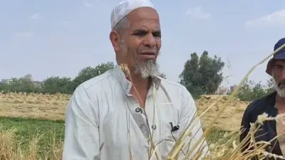 نجل المجني عليه في سرقة القمح يؤكد التصالح وانتظار قرار النيابة