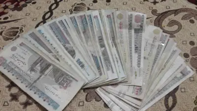 أمين الفتوى يحذر: النقوط قد يتحول من تكافل إلى إثم في هذه الحالات