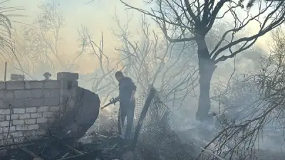 حريق هائل في مزرعة بمصيعد بطور سيناء والجهود متواصلة للسيطرة عليه