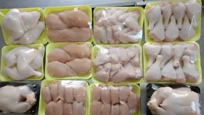 شريف عامر: أكل هياكل الفراخ وأرجلها يعود للفقر في بعض المناطق