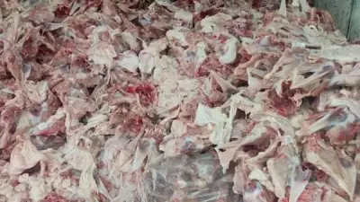 غير صالحة للاستخدام الآدمي.. مخاطر تناول هياكل وأرجل الفراخ