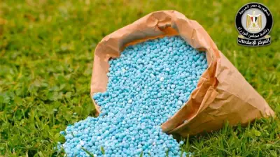 مجلس الوزراء ينفي وجود أزمة في الأسمدة الزراعية للموسم الصيفي
