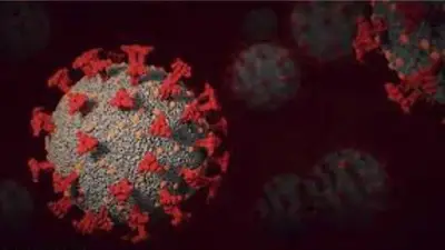 القومي للأورام يحذر: شائعات علاج السرطان خطر يهدد حياة المرضى