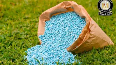 مجلس الوزراء ينفي أزمة الأسمدة الزراعية للموسم الصيفي