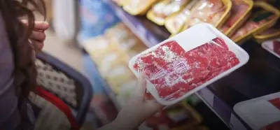 كيف تكتشفين الأطعمة الفاسدة قبل طهيها؟ دليلك الشامل لسلامة الغذاء