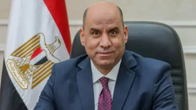 وزير العمل: توفير مليون فرصة عمل وخفض البطالة بفضل المشروعات القومية