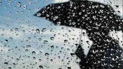 خطوات بسيطة لحماية نفسك من مخاطر الطقس الممطر: نصائح عملية للبقاء آمنًا