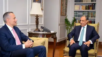 وزير الخارجية المصري يؤكد ضرورة نشر قوة دولية لمراقبة وقف إطلاق النار بغزة