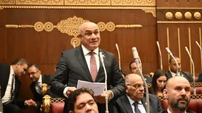 برلماني: السيسي يقود مساراً اقتصادياً طموحاً لدعم القطاع الخاص والتنمية الشاملة