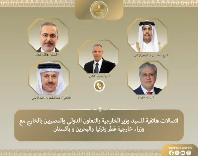 مصر تتحرك دولياً لخفض التصعيد الإقليمي وتدعو لنتائج ربعية إسلام آباد