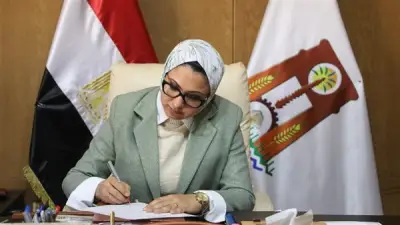 الوادي الجديد: تعطيل الدراسة وإجازة للعاملين بسبب العاصفة الترابية