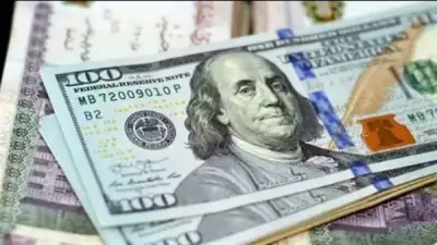 استقرار نسبي للدولار في البنوك المصرية مع توقعات بمواصلة الضغوط