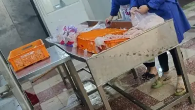 ضبط طنّين من الدواجن المذبوحة خارج المجازر في حملة تفتيشية بالشرقية