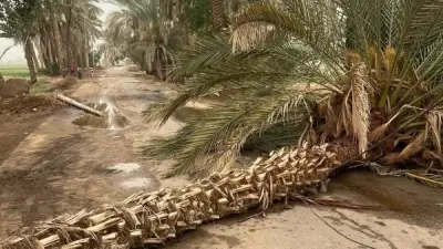 إعادة فتح طريق طراد النيل بالبرجاية في المنيا بعد إزالة عوائق الطقس