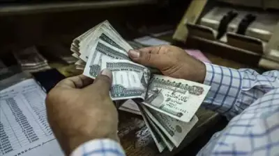 ارتياح المستثمرين بعد تثبيت الفائدة وخبراء: القرار يعكس توازنًا دقيقًا في المشهد النقدي