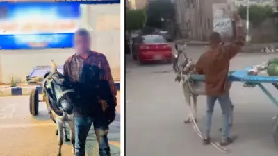 القبض على بائع خضروات بتهمة تعذيب دابة في البحيرة بعد تداول فيديو الاعتداء