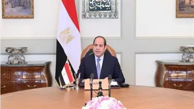 السيسي يؤكد دعم مصر الكامل للحلول السلمية ويستقبل اتصالاً من زيلينسكي حول الأزمة الروسية الأوكرانية