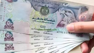 استقرار سعر الدرهم الإماراتي أمام الجنيه المصري في البنوك المحلية