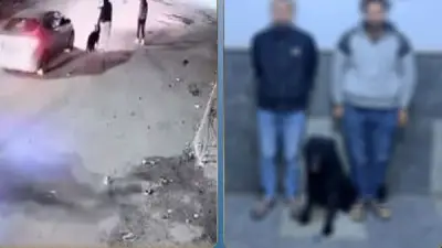 سقوط بلطجية البحيرة بعد التعدي بكلب وسلاح أبيض على سائق ملاكي