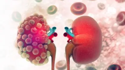 دار الإفتاء توضح حكم صلاة سنة الظهر القبلية بأربع ركعات بتشهد واحد