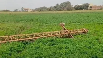 إعادة التيار الكهربائي بعد زرع برجين للضغط العالي في قرية سمالوط