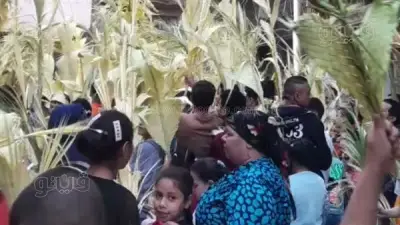 الكنيسة الأرثوذكسية تحتفل بأحد الشعانين: ذكرى دخول المسيح إلى القدس