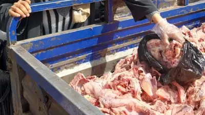 ضبط ربع طن دواجن مجهولة المصدر في مطعم شهير بطنطا ضمن حملات سلامة الغذاء