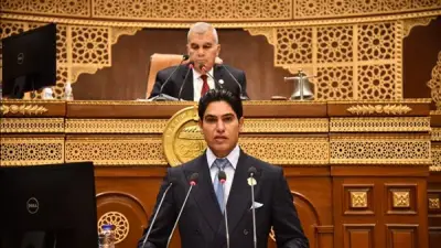 رئيس لجنة المالية بالشيوخ يوضح أهداف قانون حماية المنافسة الجديد