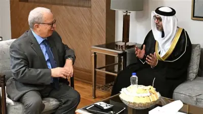الإمارات تتجه لزيادة استثماراتها في مصر: لقاء رفيع المستوى يؤكد على الشراكة الاقتصادية الواعدة