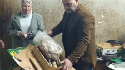 ضبط طن من الفسيخ والسردين الفاسد في شبرا الخيمة قبل احتفالات شم النسيم