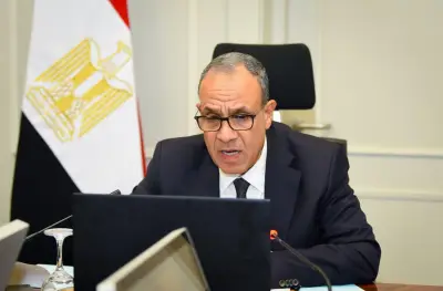 بدر عبد العاطي: أوضاع الجاليات المصرية في الخارج مطمئنة بشكل عام