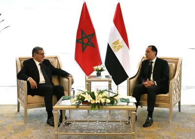 اجتماع لجنة التنسيق المصرية المغربية يؤكد إرادة سياسية مشتركة للارتقاء بالعلاقات