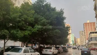 طقس مزدوج في مطروح: أمطار متوسطة تتدفق رغم سطوع الشمس