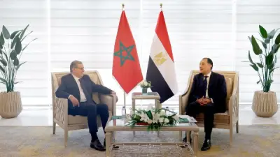 المغرب يثمن تجديد مصر تأييدها للوحدة الترابية في اجتماع لجنة التنسيق المشتركة