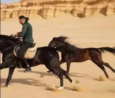 عصام السقا يدعم السياحة في مصر بفيديو جديد مع الخيول في الصحراء