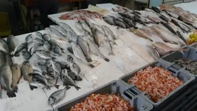 أسعار الأسماك اليوم في سوق العبور مع اقتراب شم النسيم: البلطي ينخفض والجمبري يرتفع