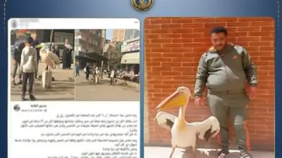 ضبط شخص خادش للحياء بالغربية وتجديد حبس أحمد دومة.. أبرز حوادث اليوم