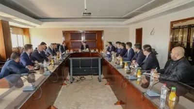 مصر تفتح قطاع الزراعة للاستثمارات الصينية لتعزيز الأمن الغذائي والتنمية