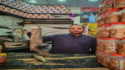 إسرائيل توسع العمليات البرية جنوب لبنان واشتباكات عنيفة مع حزب الله في بنت جبيل